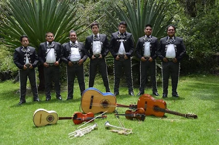 Mariachi Mi Mexico De Noche